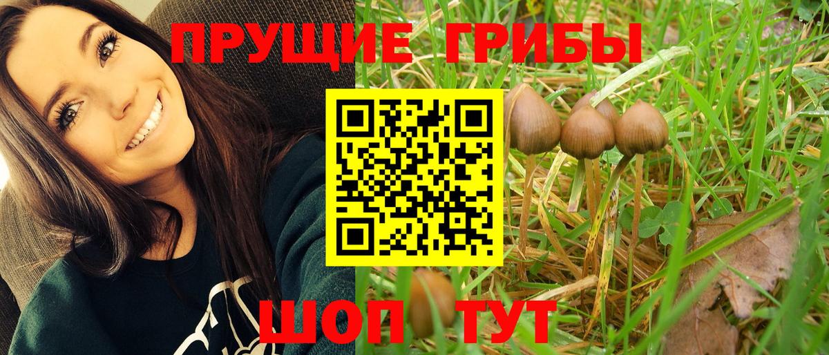 Псилоцибиновые грибы мухоморы  Вход с VPN  Псилоцибиновые грибы GOLDEN TEACHER  Старая Купавна 